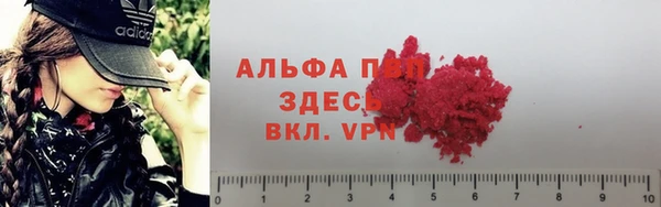 индика Абдулино