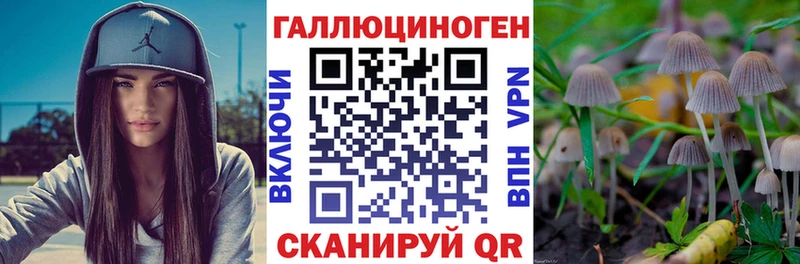Псилоцибиновые грибы прущие грибы Инсар
